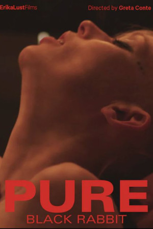 Pure - Black Rabbit
